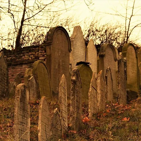 Maison d'hôtes David 3*