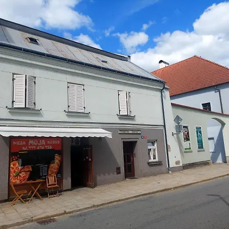 David Třešť