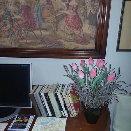 David Guest house Trest