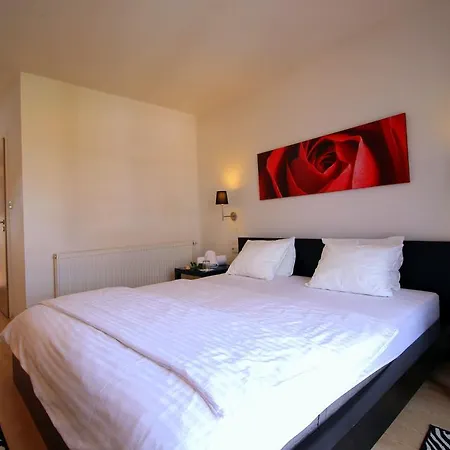 David Maison d'hôtes Třešť